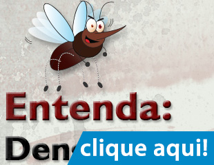 Entenda: Dengue, Zika e Chikungunya